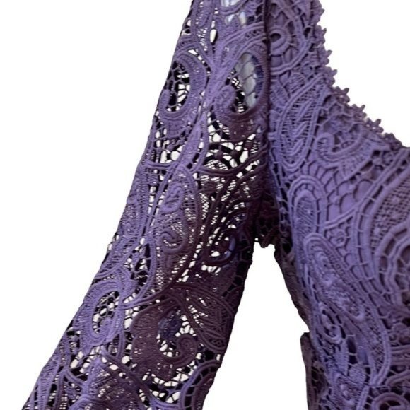 Anthropologie Maeve Embroidered Lace Mini Dress Size 2 NWOT - Picture 8 of 15